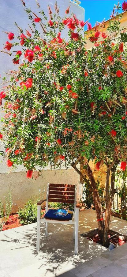 The Central Villa - Kassiopi Corfu Villas Екстер'єр фото